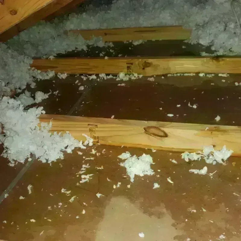 Attic Water Damage in Swanquarter, NC